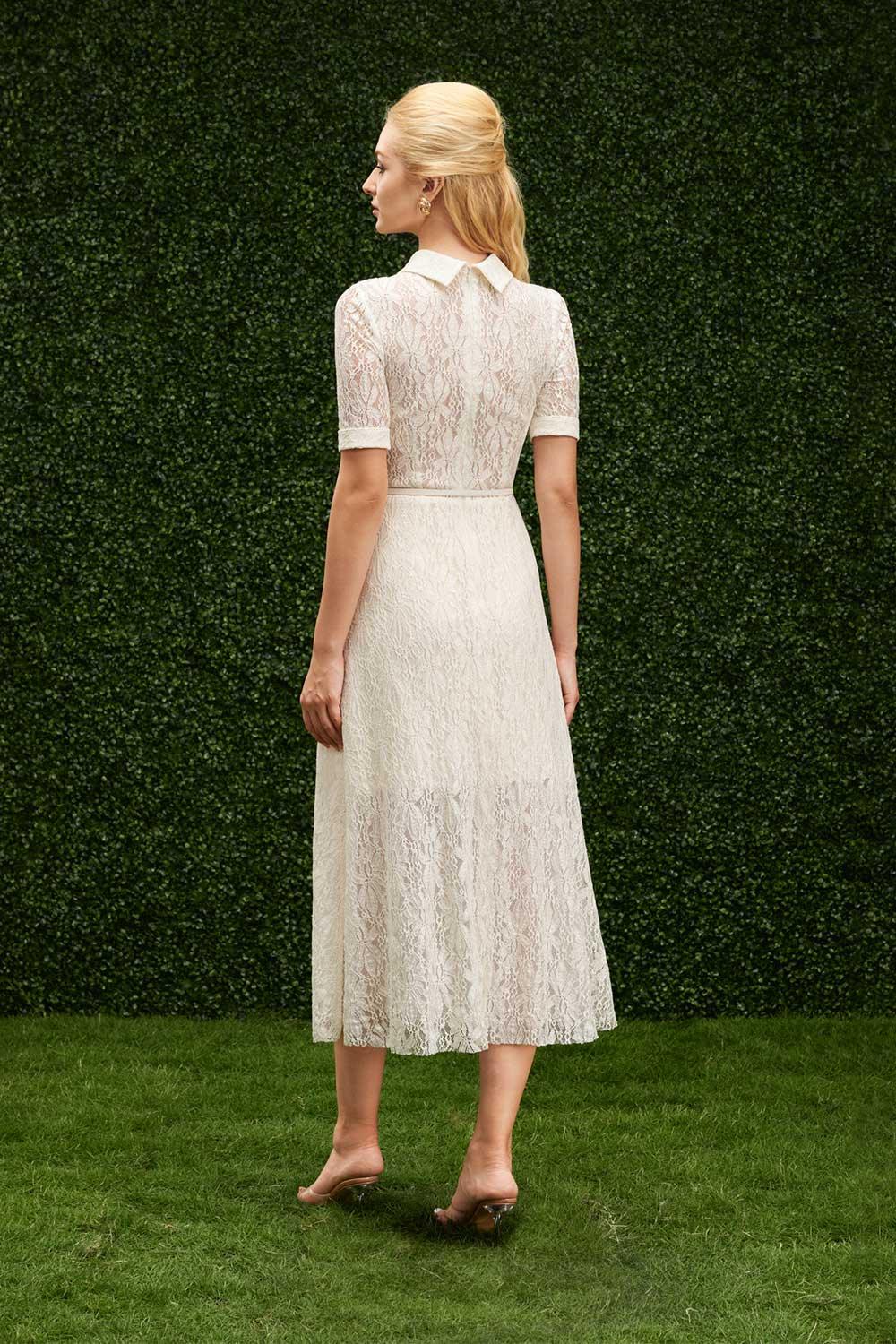 collared a line dress Chestnut V Neck Collared A Line Dress