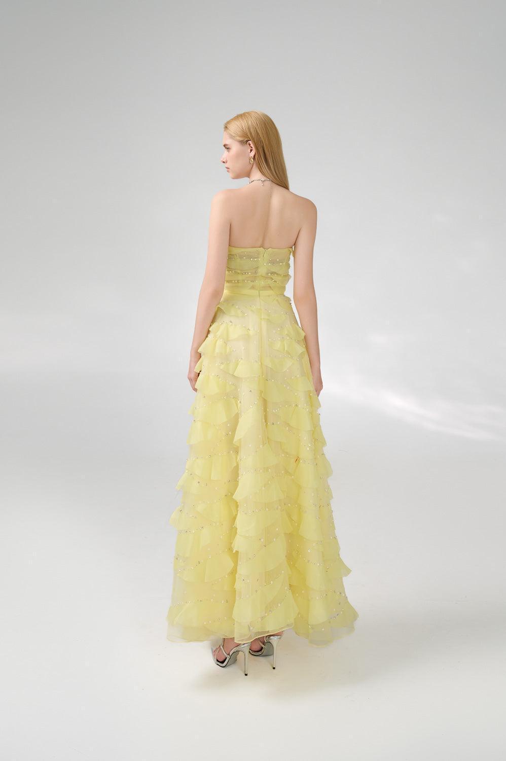 Arjun Strapless Stone Organza Floor Length Dress - MEAN BLVD
