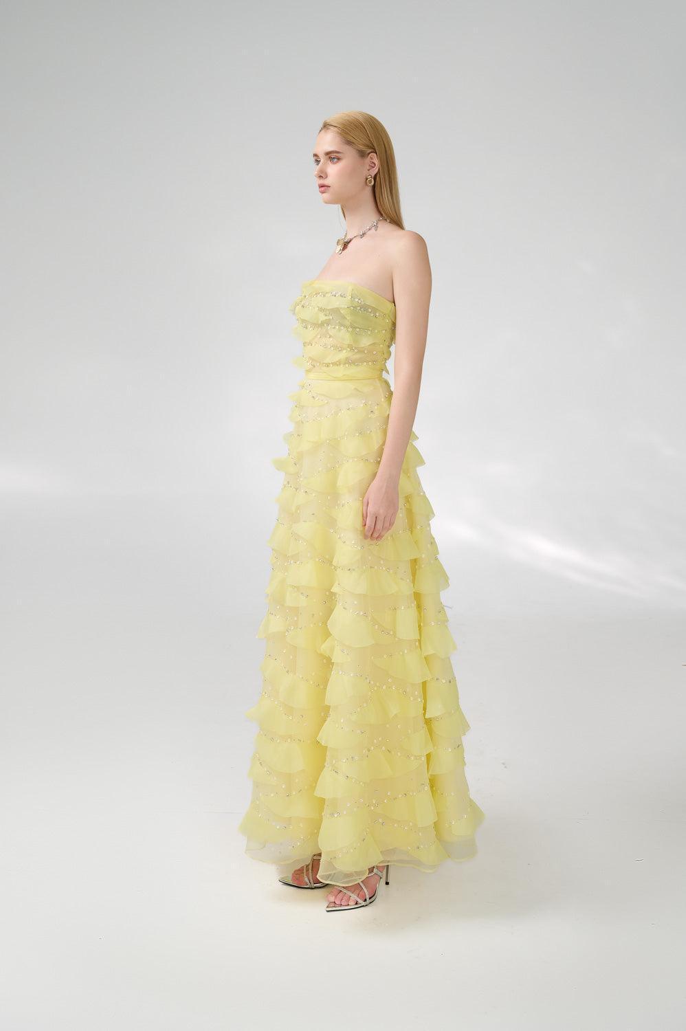 Arjun Strapless Stone Organza Floor Length Dress - MEAN BLVD