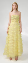 Arjun Strapless Stone Organza Floor Length Dress - MEAN BLVD