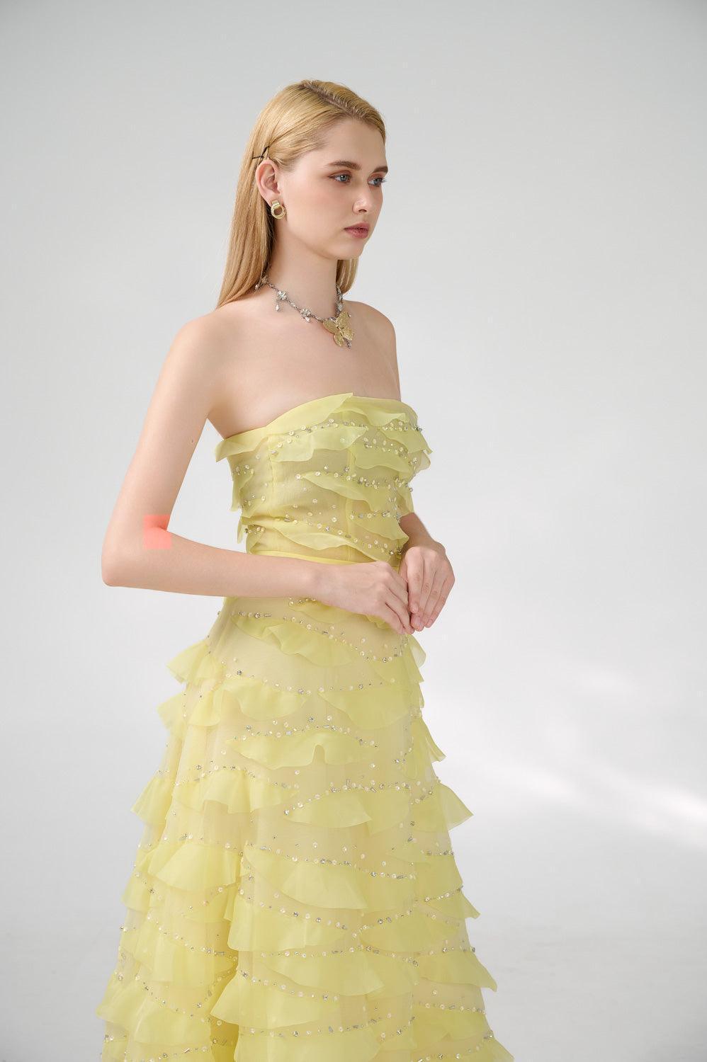 Arjun Strapless Stone Organza Floor Length Dress - MEAN BLVD