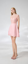 Beasley A-line Short Sleeved Taffeta Mini Dress - MEAN BLVD