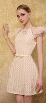 Celia A-line Cap Sleeved Mesh Lace Mini Dress - MEAN BLVD