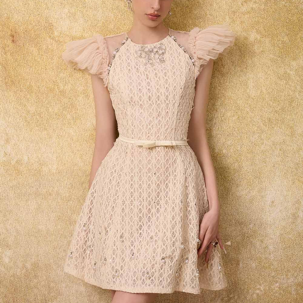 Celia A-line Cap Sleeved Mesh Lace Mini Dress - MEAN BLVD