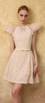 Celia A-line Cap Sleeved Mesh Lace Mini Dress - MEAN BLVD