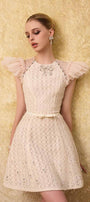Celia A-line Cap Sleeved Mesh Lace Mini Dress - MEAN BLVD
