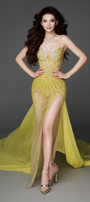 Paola Slit Cut-Out Mesh Floor Length Dress
