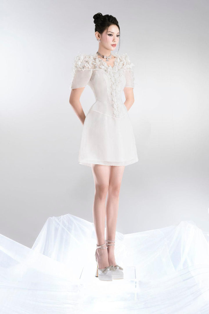 Chloe A-line V-Neck Organza Mini Dress - MEAN BLVD