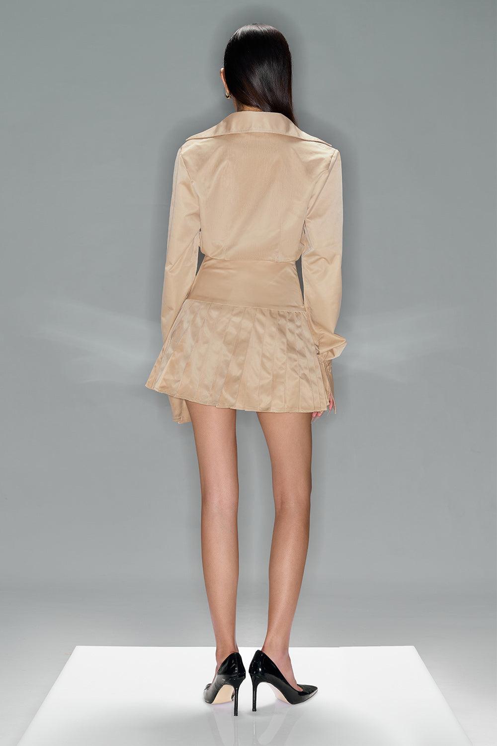 Women's Chloe Drop Waist Pleated Taffeta Mini Dress S/M/L/XL