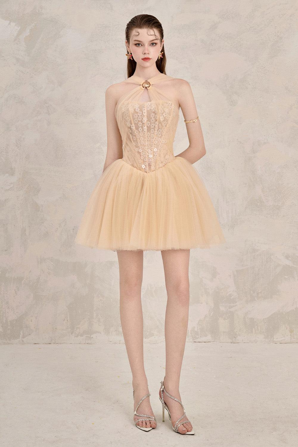 Elara Embellished Corset Gown (Blush) main image 1