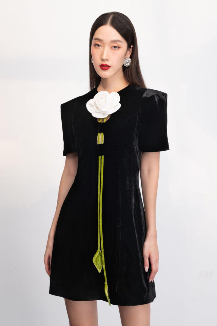 Elowyn A-line Short Sleeved Velvet Mini Dress - MEAN BLVD