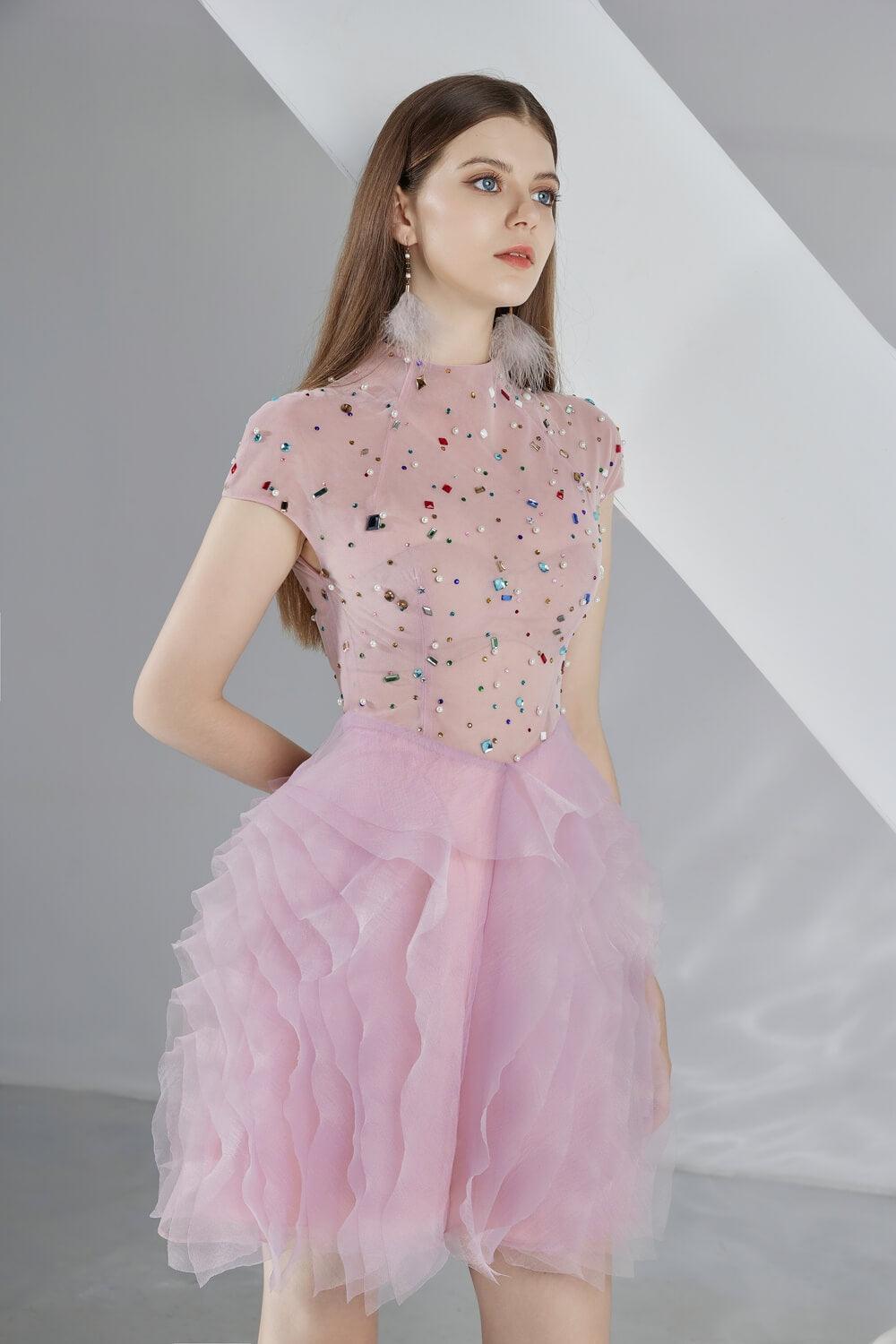 Emerie Layered Short Sleeved Organza Mini Dress - MEAN BLVD