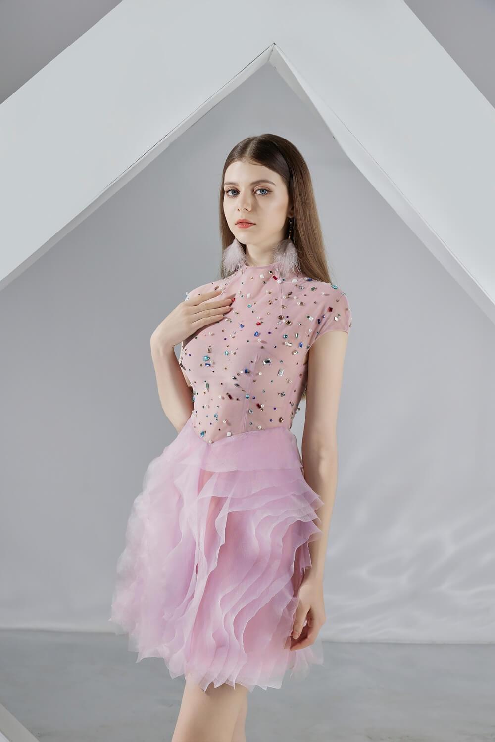 Emerie Layered Short Sleeved Organza Mini Dress - MEAN BLVD