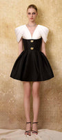 Enigma A-line Draped Taffeta Mini Dress - MEAN BLVD