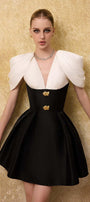 Enigma A-line Draped Taffeta Mini Dress - MEAN BLVD