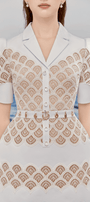 Erica A-line Leg Of Mutton Sleeved Lace Mini Dress - MEAN BLVD