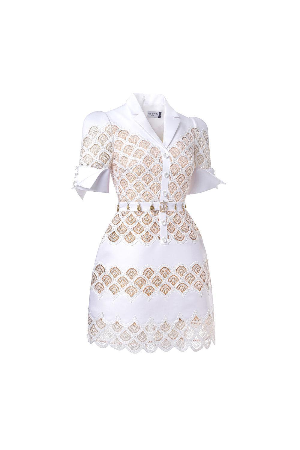 Erica A-line Leg Of Mutton Sleeved Lace Mini Dress - MEAN BLVD