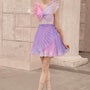Euterpe Pleated V-Neck Chiffon Mini Dress - MEAN BLVD