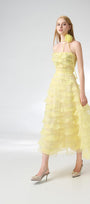 Fatima Fit and Flare Straight Across Neck Organza Midi Dress - MEAN BLVD