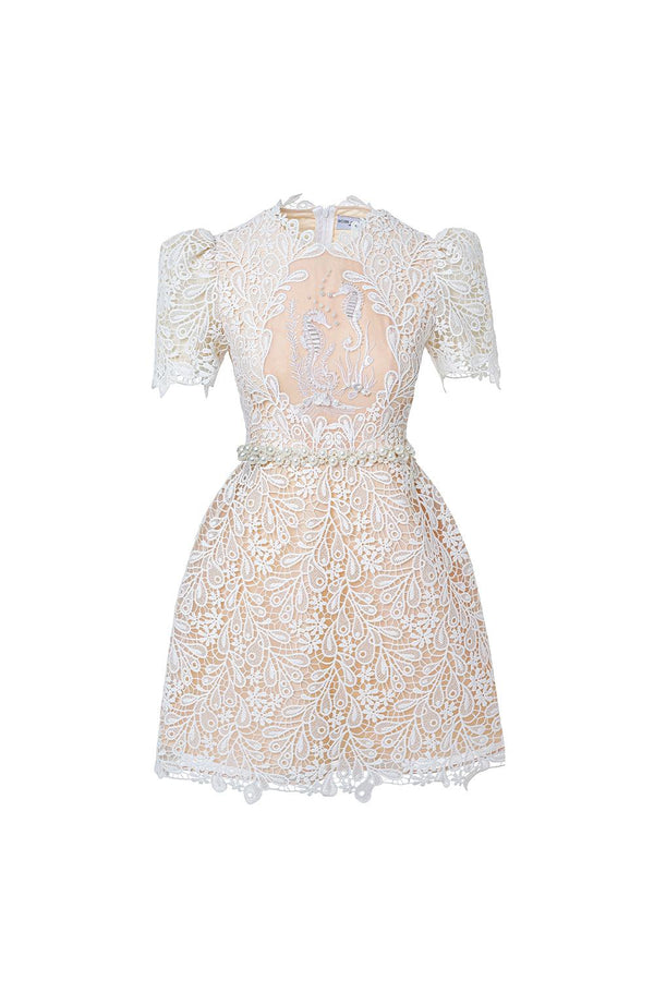 Fiona A-line Leg Of Mutton Sleeved Lace Mini Dress - MEAN BLVD
