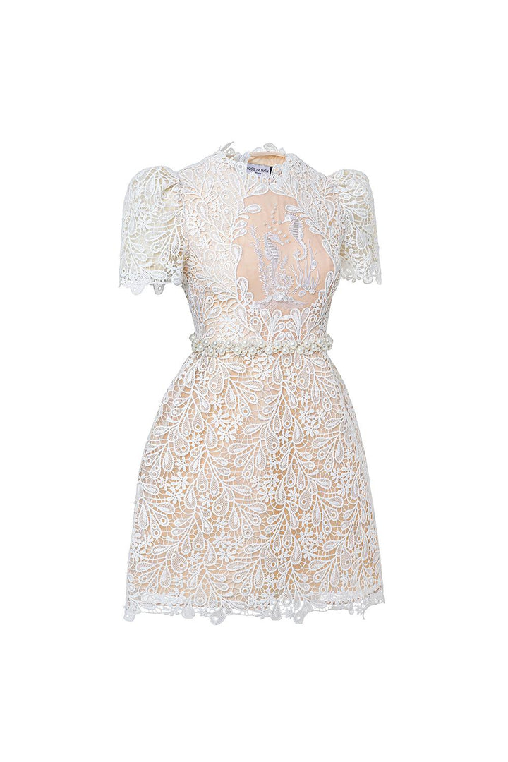 Fiona A-line Leg Of Mutton Sleeved Lace Mini Dress - MEAN BLVD