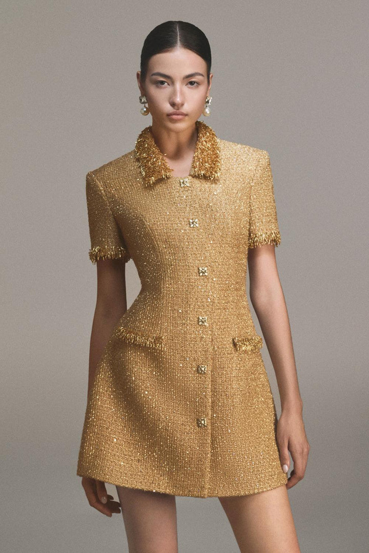 Gold Embellished Mini Dress - MEAN BLVD