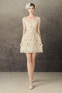 Elowen A-line Sweetheart Neck Lace Mini Dress