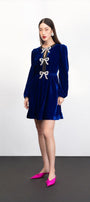 Haven A-line Long Sleeved Velvet Mini Dress - MEAN BLVD
