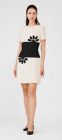 Isabela Drop Waist Round Neck Taffeta Mini Dress - MEAN BLVD