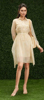 Jaliyah A-line Ruffle Layer Organza Mini Dress - MEAN BLVD