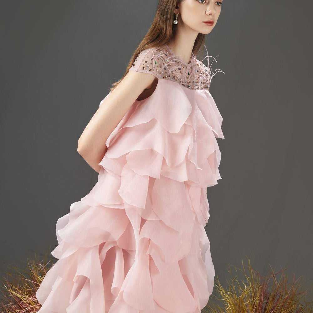 Jenny Layered Round Neck Organza Knee-length Dress - MEAN BLVD