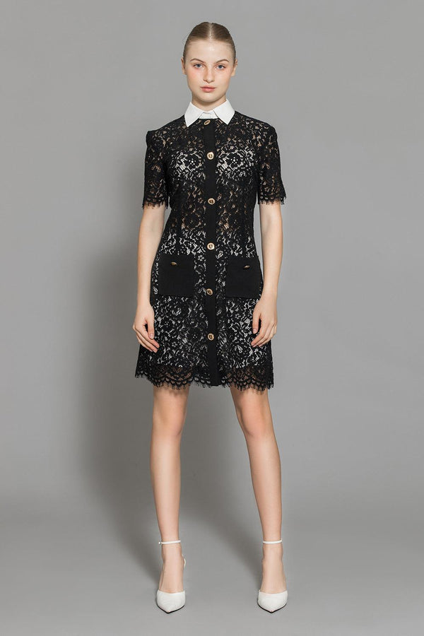 Joelle A-line Contrasting Collar Lace Above The Knee Dress - MEAN BLVD