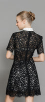 Joelle A-line Contrasting Collar Lace Above The Knee Dress - MEAN BLVD