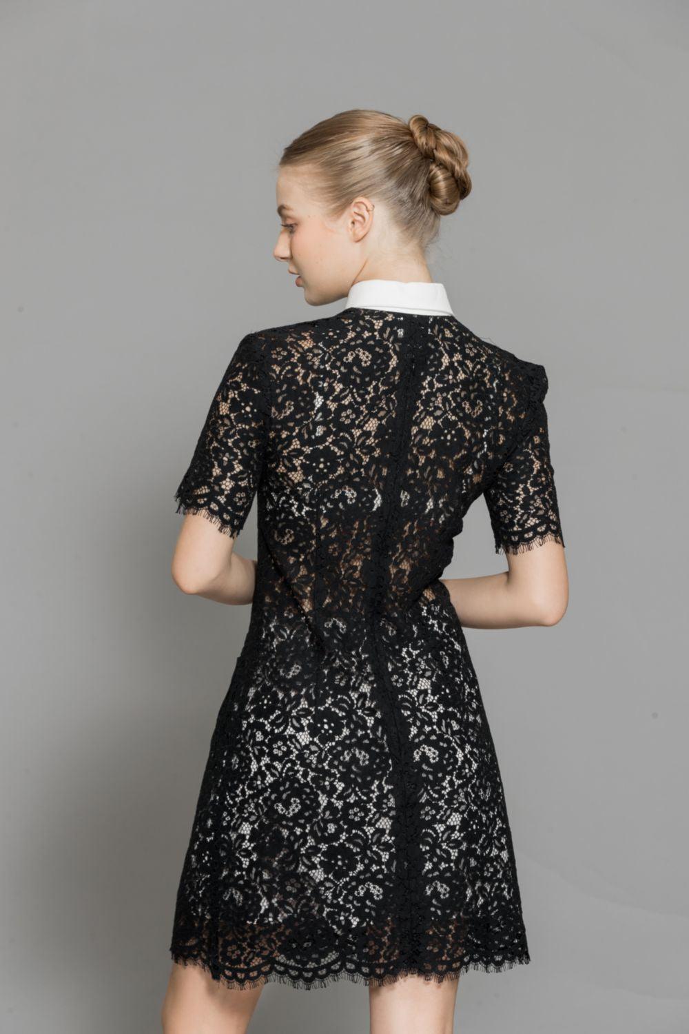 Joelle A-line Contrasting Collar Lace Above The Knee Dress - MEAN BLVD