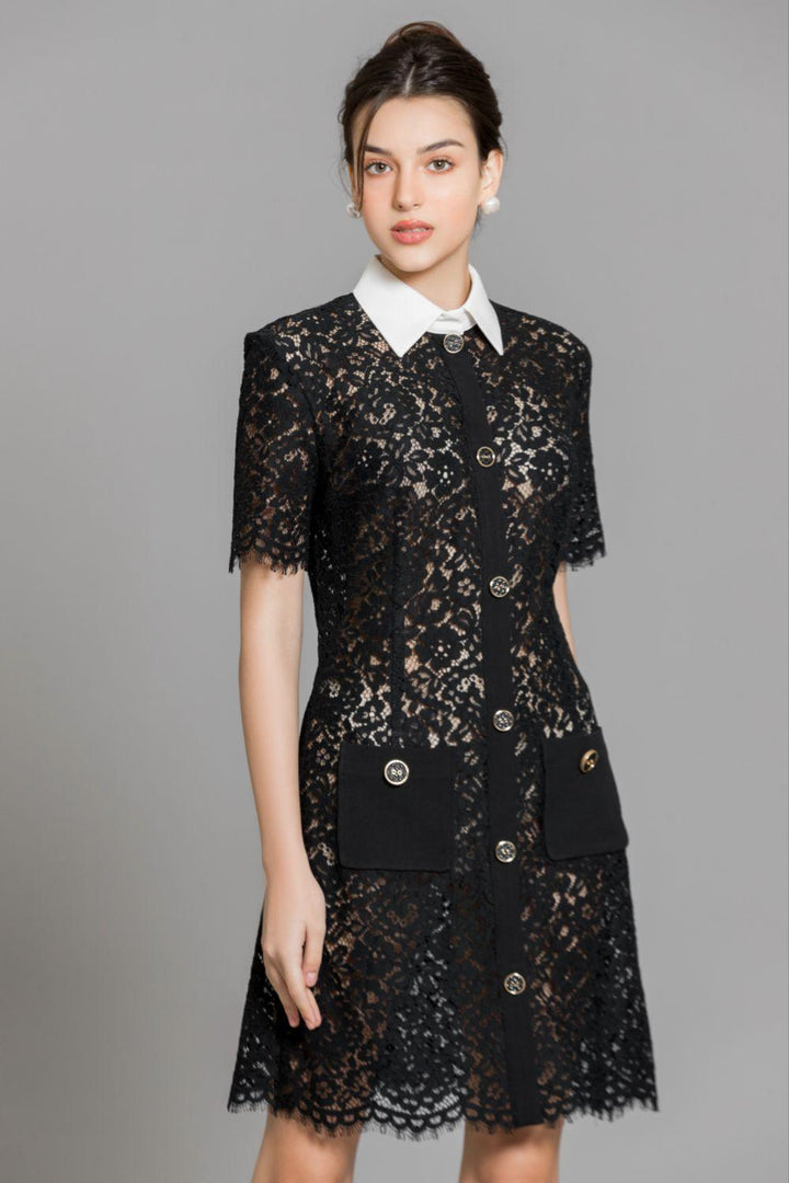 Joelle A-line Contrasting Collar Lace Above The Knee Dress - MEAN BLVD
