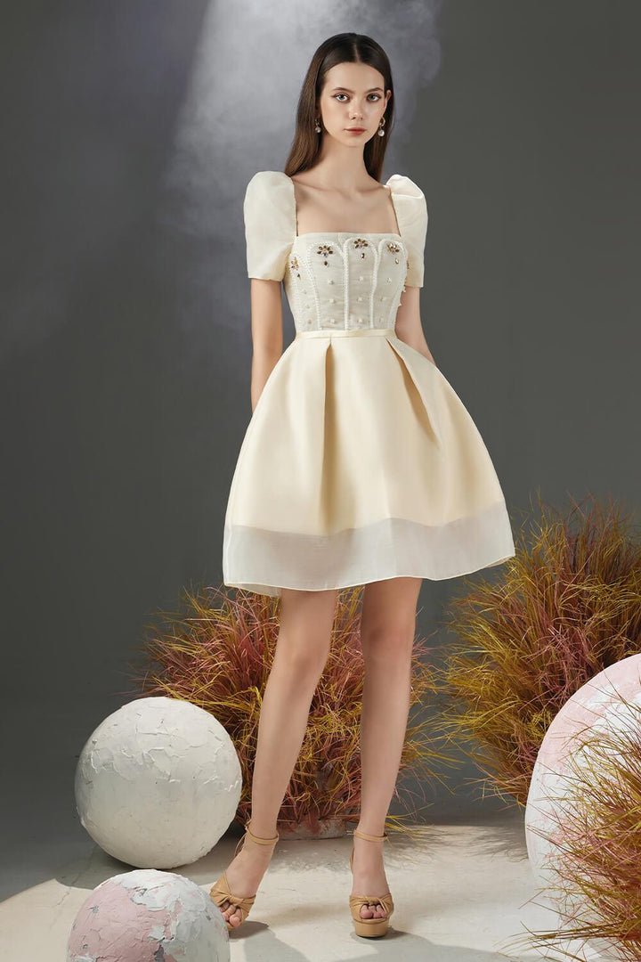 Jovita A-line Puffy Sleeved Organza Mini Dress - MEAN BLVD