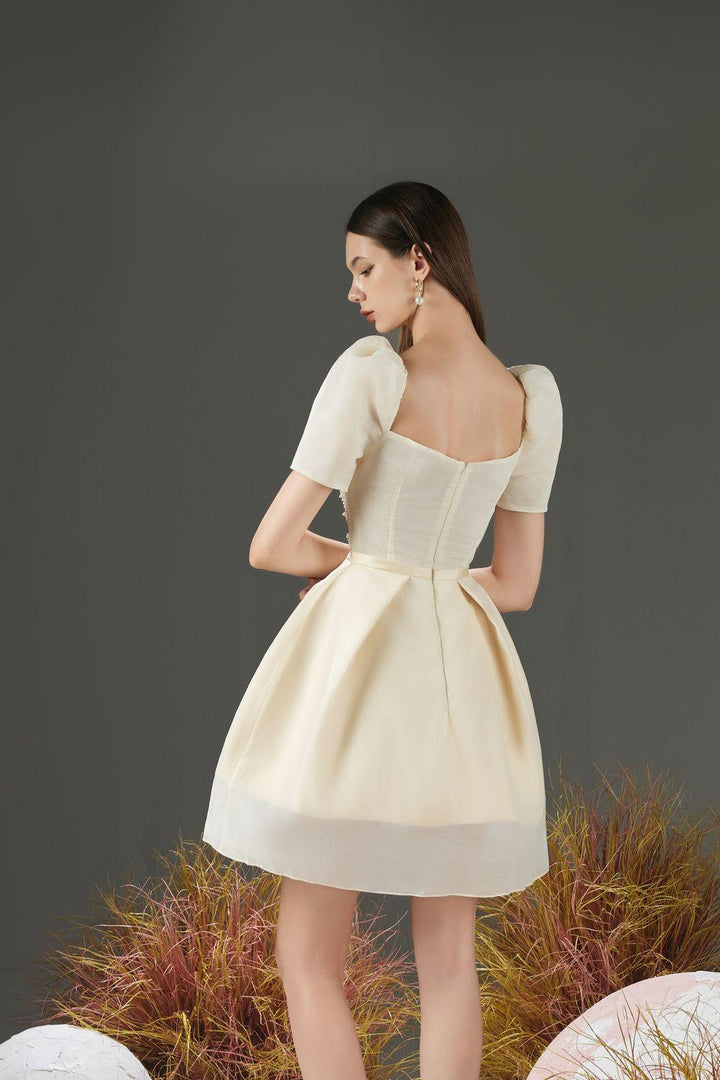 Jovita A-line Puffy Sleeved Organza Mini Dress - MEAN BLVD