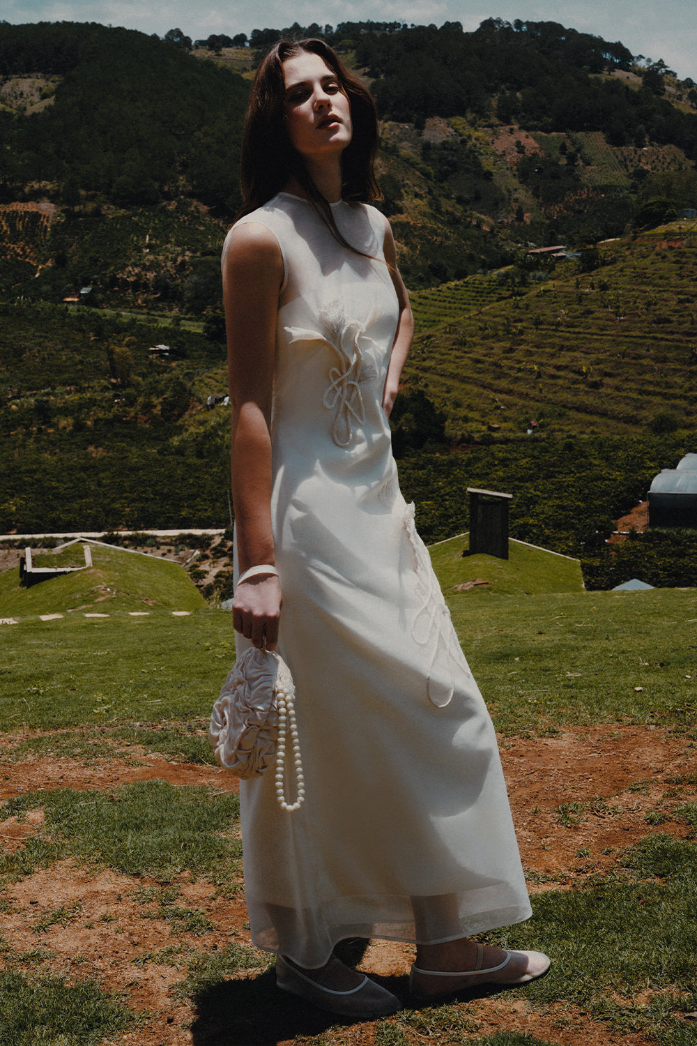 Linh Chi A-line Flower Applique Organza Maxi Dress