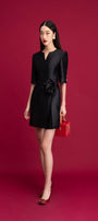 Lulu A-line V-Neck Taffeta Mini Dress - MEAN BLVD
