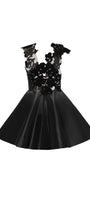 Macie Fit and Flare Sleeveless Organza Mini Dress - MEAN BLVD