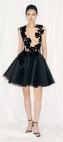 Macie Fit and Flare Sleeveless Organza Mini Dress - MEAN BLVD