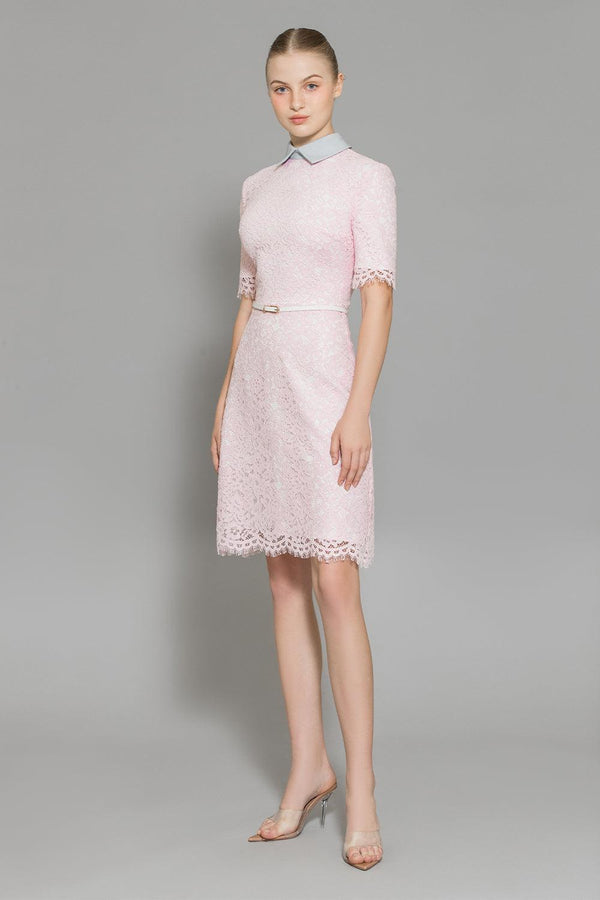 Maisy A-line Middle Sleeved Cotton Lace Above The Knee Dress - MEAN BLVD