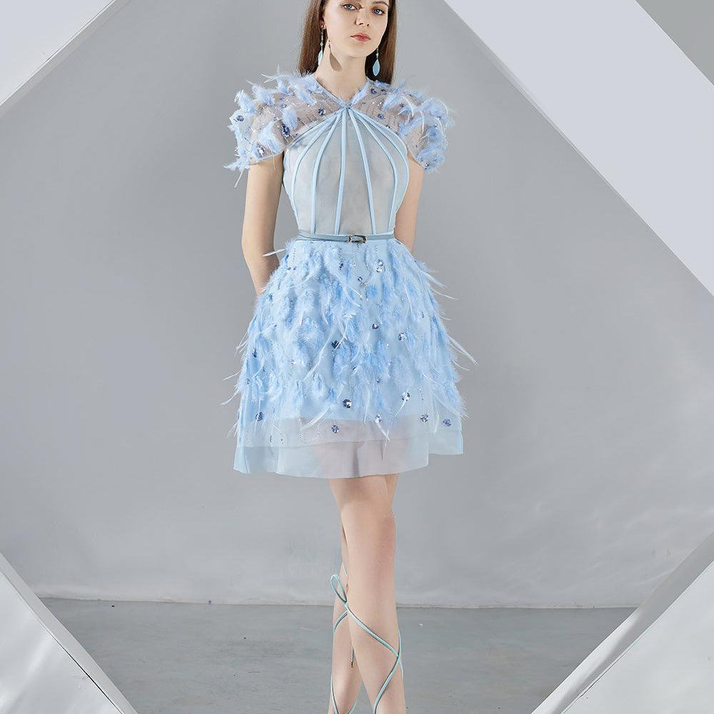 Marilyn A-line Short Sleeved Organza Mini Dress - MEAN BLVD