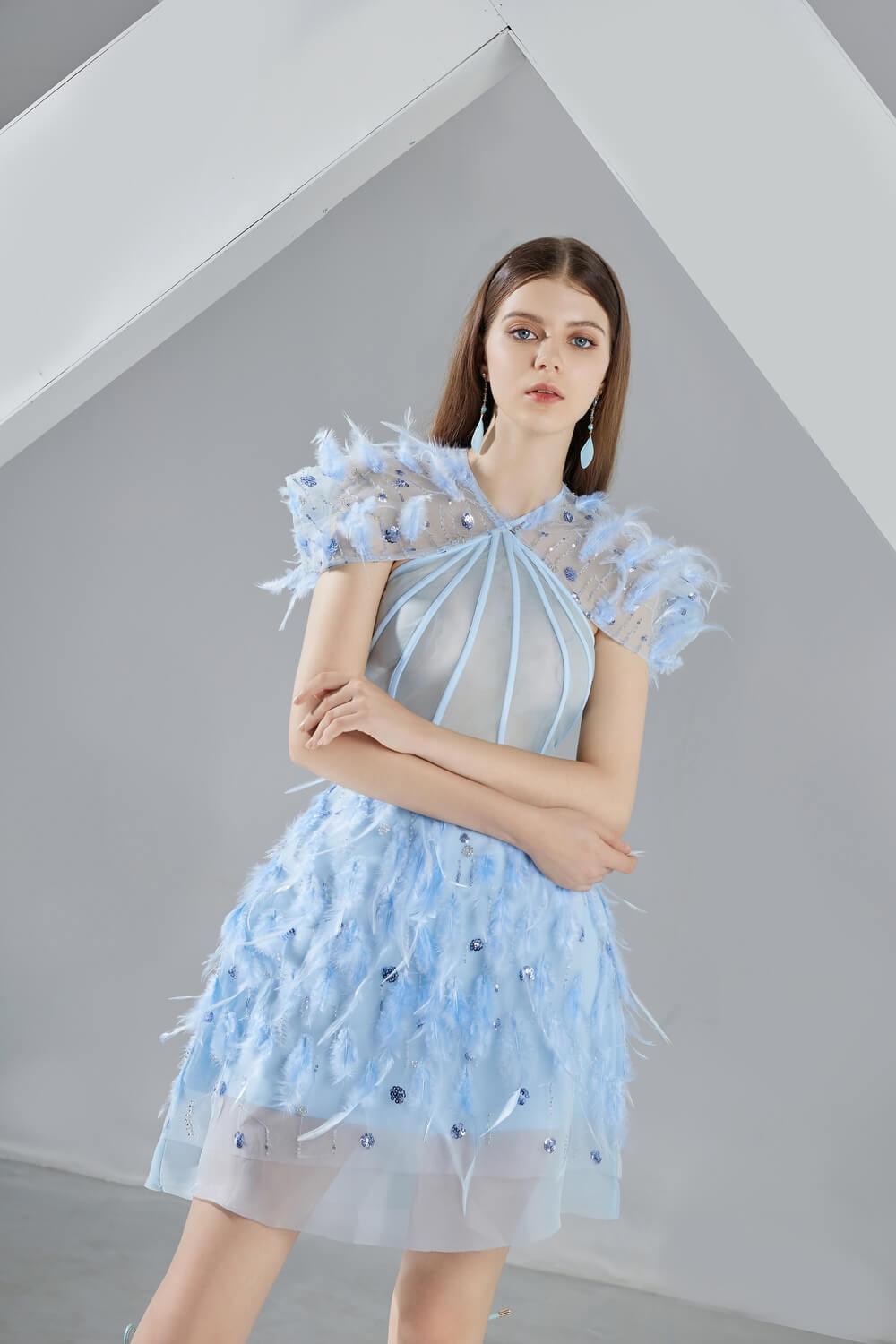 Marilyn A-line Short Sleeved Organza Mini Dress - MEAN BLVD