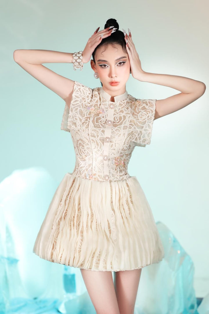 Meline A-line Mandarin Collar Lace Mini Dress - MEAN BLVD
