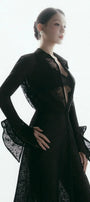 Mia Sheer Lace Set - MEAN BLVD