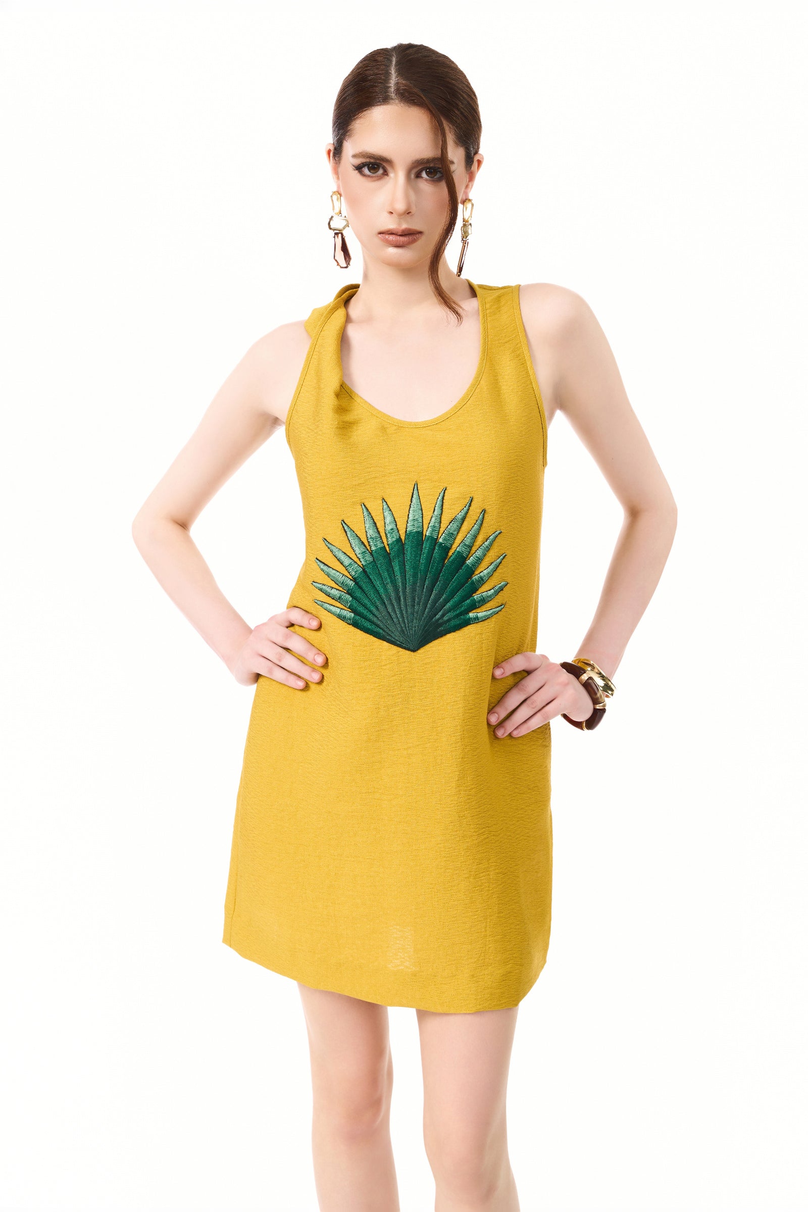 Aven Embroidery Mini Dress