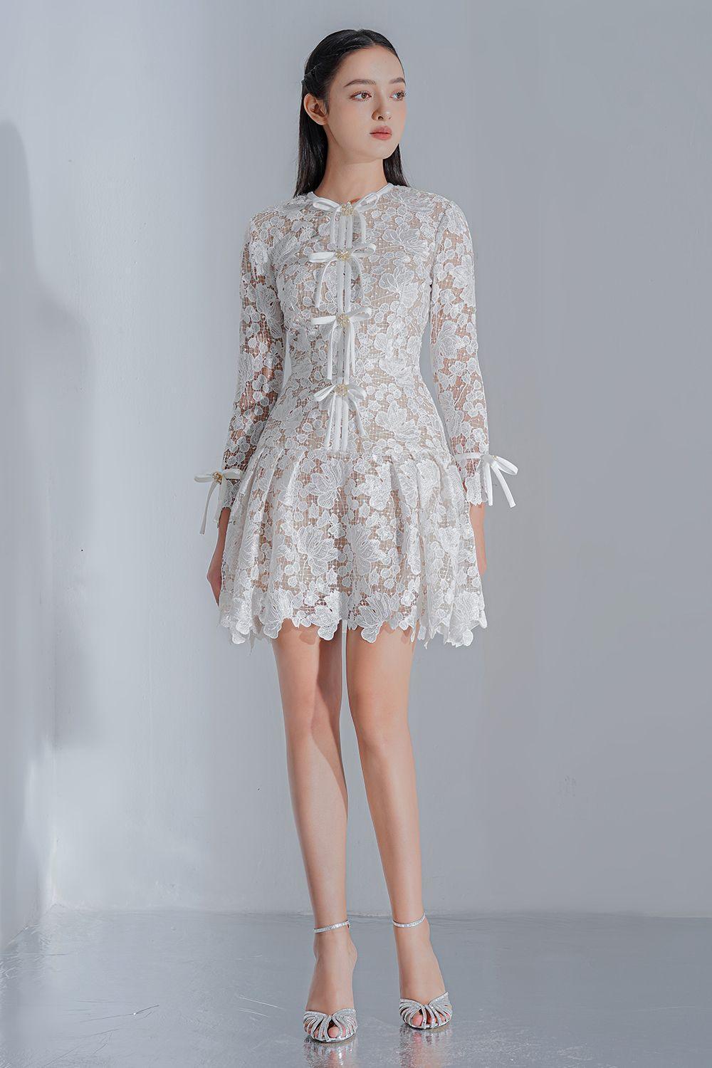 Quinnley Drop Waist Round Neck Lace Mini Dress - MEAN BLVD