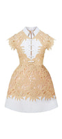 Rachel A-line Collared Neck Lace Mini Dress - MEAN BLVD