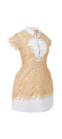 Rachel A-line Collared Neck Lace Mini Dress - MEAN BLVD